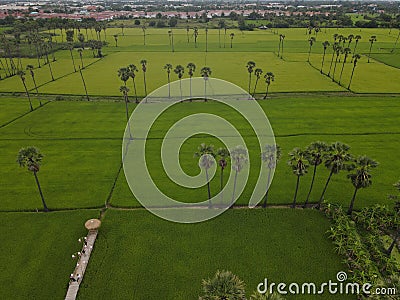 Aerial view nature landscape in Thailand farm Stock Photo