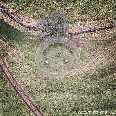 Aerial view of the Nine Stones Close Stone Circle in a lush green field Stock Photo