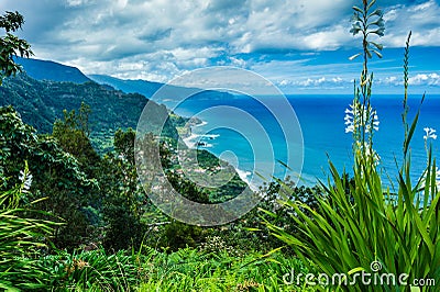 Aerial view of the northern coast of Madeira islands, Portugal Stock Photo