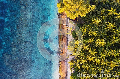 Aerial view at ocean and palms. Turquoise water background from top view. Summer seascape from air. Bali island, Indonesia. Stock Photo