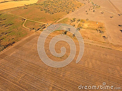 Aerial view of Outback Cattle mustering Stock Photo