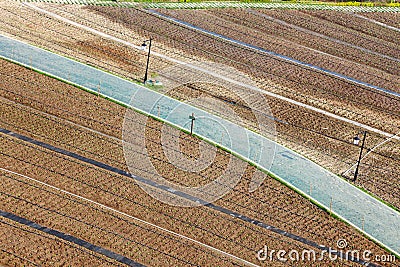 Aerial view over agriculture preparing vegetable fields with road throught Stock Photo