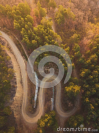 Aerial view over mountain road inside forest during sunrise Stock Photo