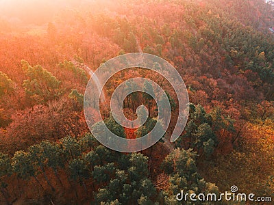 Aerial view over mountain road inside forest during sunrise Stock Photo