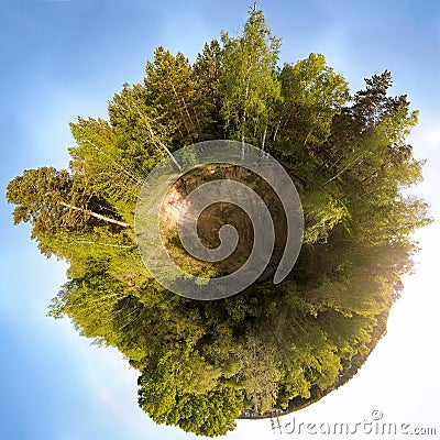 Panoramic 360 degrees in a green forest with a blue sky Stock Photo