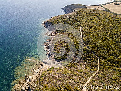 Aerial view of the path of customs officers, vegetation and Mediterranean bush, Corsica, France. Sentier du Douanier Stock Photo