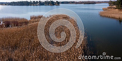 Aerial view of reed beds on the lake in spring Stock Photo