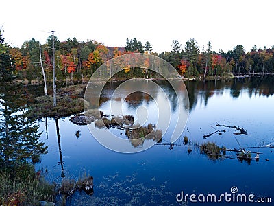 Aerial view of reflections of trees in the water Stock Photo