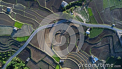 Aerial view of rice terraces in the mountains of northern Thailand. Beautiful scenery of the terraced farming season Stock Photo