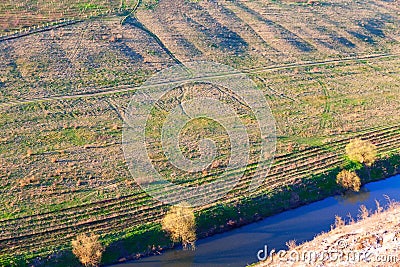 Aerial view of riverside meadow Stock Photo