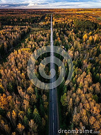 Aerial view of road in autumn forest. Fall landscape with road, red and yellow trees. Stock Photo