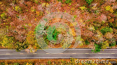 Aerial view of road in autumn forest at sunset. Amazing landscape with rural road, trees with red and orange leaves in day. Stock Photo