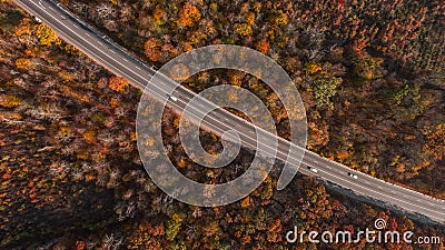 Aerial view of the road in beautiful autumn forest Stock Photo