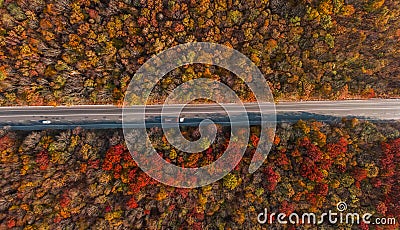 Aerial view of the road in beautiful autumn forest Stock Photo