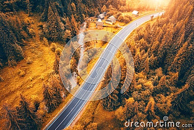 Aerial view of road in colorful orange forest at sunset in autumn Stock Photo