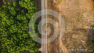 Aerial view of a road that cuts through a lush forest, on the other side is an area Stock Photo