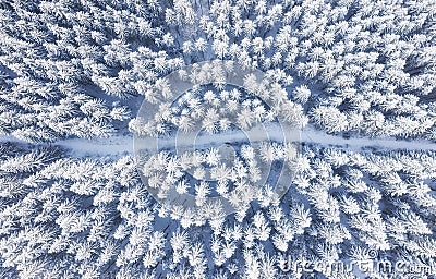 Aerial view on the road and forest at the winter time. Natural winter landscape from air. Forest under snow a the winter time. Stock Photo