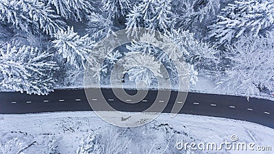 Aerial view of road through a winter forest. Stock Photo