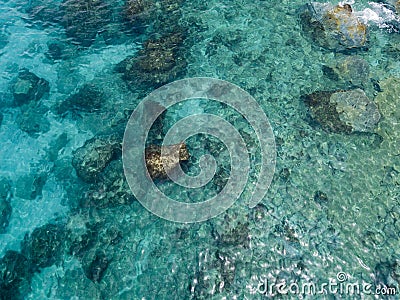 Aerial view of rocks on the sea. Overview of the seabed seen from above Stock Photo