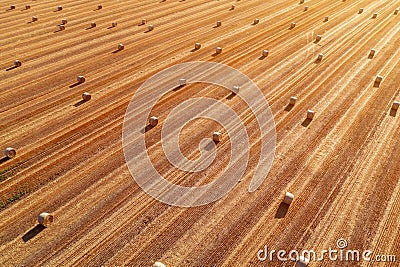 Aerial view of rolled hay bales in harvested wheat field from drone pov Stock Photo