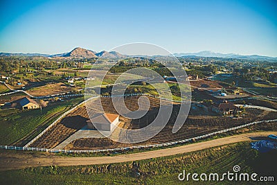 Aerial view of scenic vineyards in Temecula on a sunny day, Southern California, USA Stock Photo