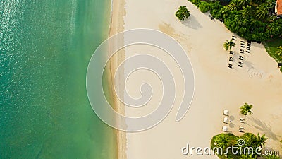 Top view of a beautiful sandy beach and ocean with waves. Stock Photo