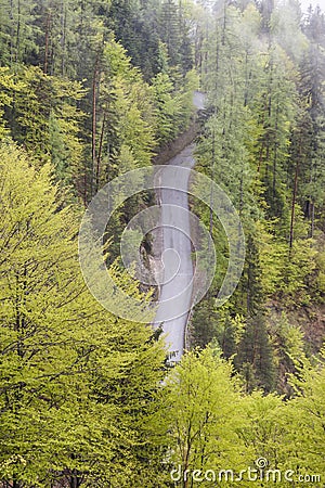 Aerial view on single country forest route Stock Photo