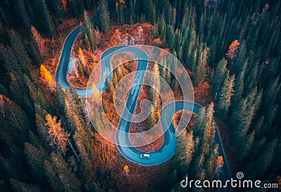 Aerial view of snake road in colorful autumn forest at sunrise Stock Photo