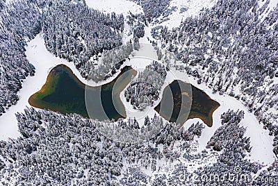 Aerial view of a snowy pine forest and green lake. Stock Photo