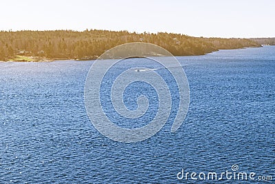 Aerial view of speeding boat in sea. Speed boat at sea. View from above. Speedboat floating in a turquoise blue sea water. Motorbo Stock Photo