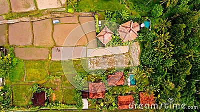 Aerial view terraces filled with water and ready for planting rice. Stock Photo