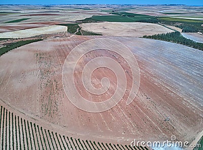 Aerial view of textures. Rows of soil with plantations. Pattern rows of furrows in a plowed field prepared to plant crops in sprin Stock Photo