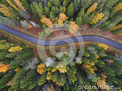 Aerial view of thick forest in autumn with road cutting through Stock Photo