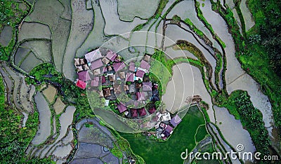 Aerial view on tiny community houses settlement surrounded by rice paddy fields Stock Photo