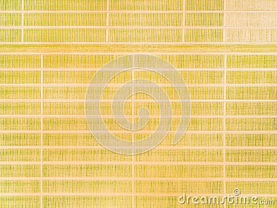 Aerial view to experimental fields. Stock Photo