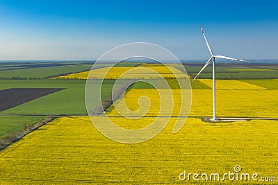 Aerial view to isolated wind turbine in yellow rapeseed fields Stock Photo