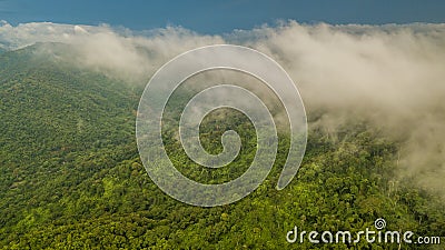 Aerial view tropical rainforest, Fog covered mountains in tropic Stock Photo