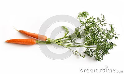 Aerial view of two carrots with their respective branches and leaves Stock Photo