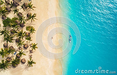 Aerial view of umbrellas, palms on the sandy beach and kayaks Stock Photo