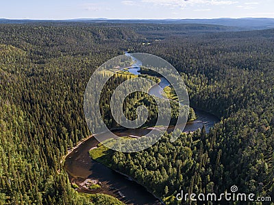 Aerial view of vast boreal aka taiga forest Stock Photo