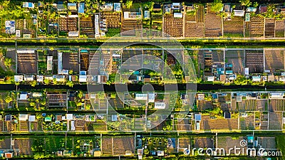 Aerial view of vegetable gardens. Netherlands. Canals with water for agriculture. Fields and meadows. Editorial Stock Photo