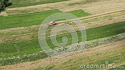 Aerial view vintage combine harvester mows wheat in field for food industry and Agribusiness farming Stock Photo