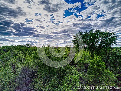 Aerial view of white clouds in a blue sky over tall trees Stock Photo