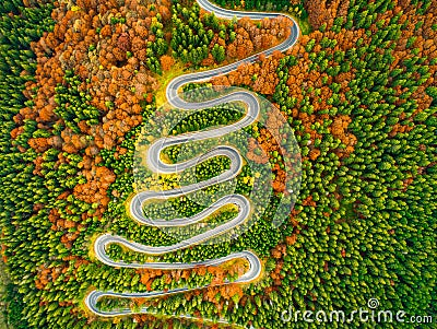 Aerial view of winding road through autumn colored forest Stock Photo