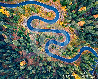 Aerial view of winding road in autumn forest. Stock Photo