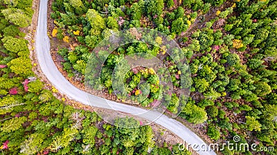 Aerial view of a winding road in the Pacific Northwest forest in autumn Stock Photo