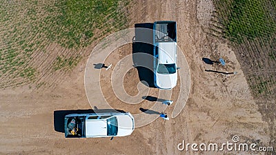 Aerial view of 4x4 pickup truck driving through wheat crops field with silos bags on the road. Stock Photo