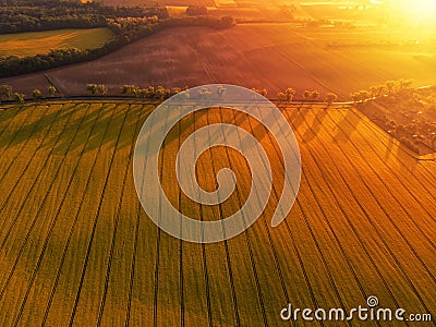 Aerial view of yellow canola field and distant country road Stock Photo
