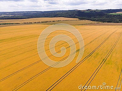 Aerial view of yellow harvest fields and beautiful road. Czech Republic, geometry, harvest time, season, sunny summer day Stock Photo