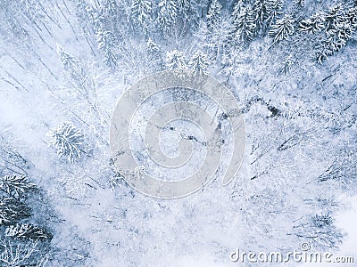 Aerial winter forest view. Drone landscape. White trees with snow background. High modern photogra Stock Photo